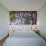 Quinta Do Lameiro * Tarouca