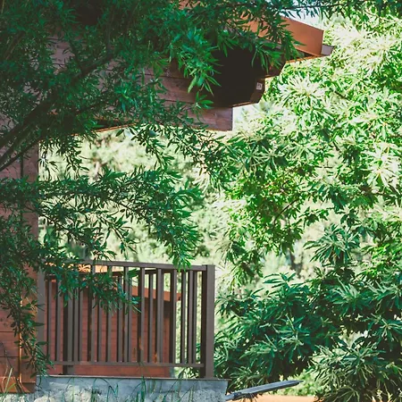 假日公园 Quinta Do Lameiro *