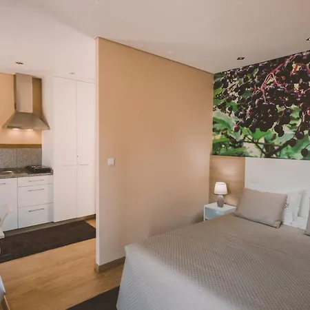 Quinta Do Lameiro منتزه العطل *