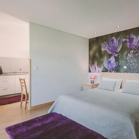 منتزه العطل Quinta Do Lameiro Tarouca