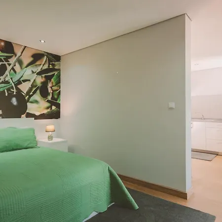 Quinta Do Lameiro Tatil parkı