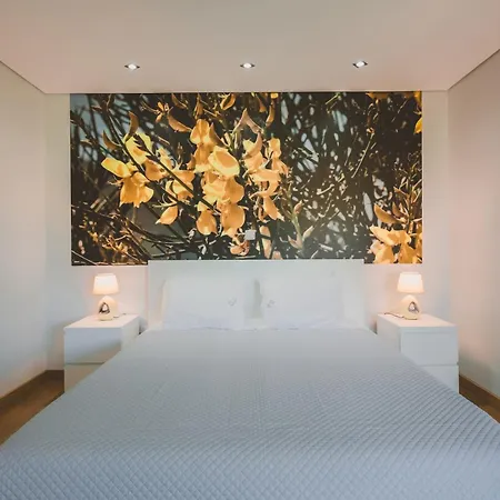 Quinta Do Lameiro Tatil parkı Tarouca