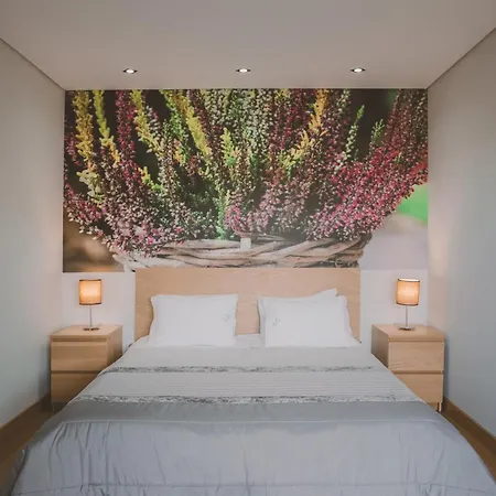 Quinta Do Lameiro Tatil parkı