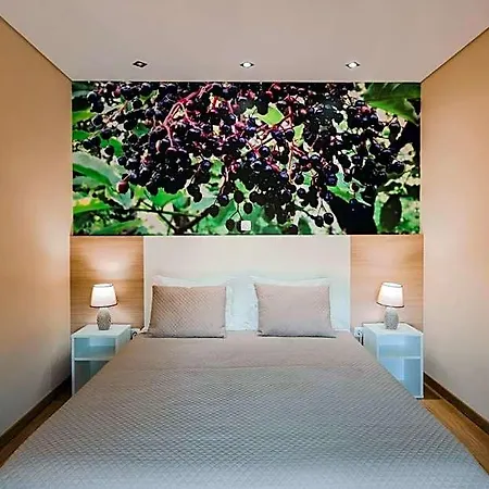 Tatil parkı Quinta Do Lameiro *