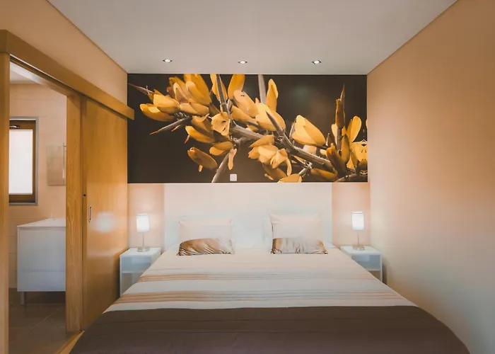 Quinta Do Lameiro Semesterpark Tarouca