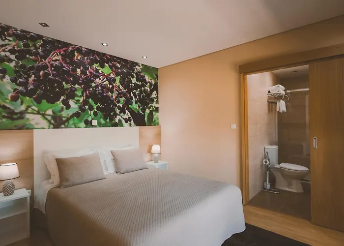 Quinta Do Lameiro Tarouca