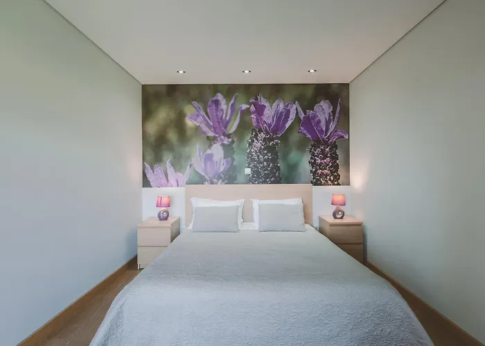 Quinta Do Lameiro * Tarouca