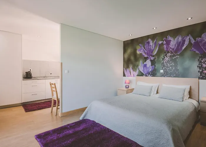 Semesterpark Quinta Do Lameiro Tarouca