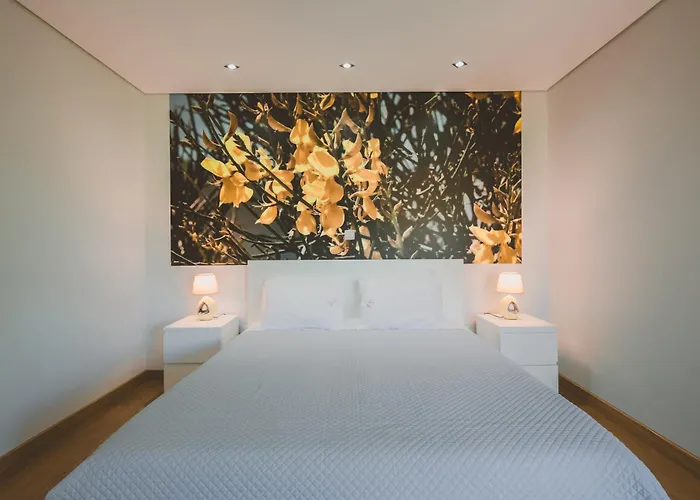 Quinta Do Lameiro Parco vacanze Tarouca